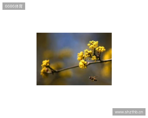 媒体人:拉米罗是否留任要看足协杯 国安在引援前要先确定主帅